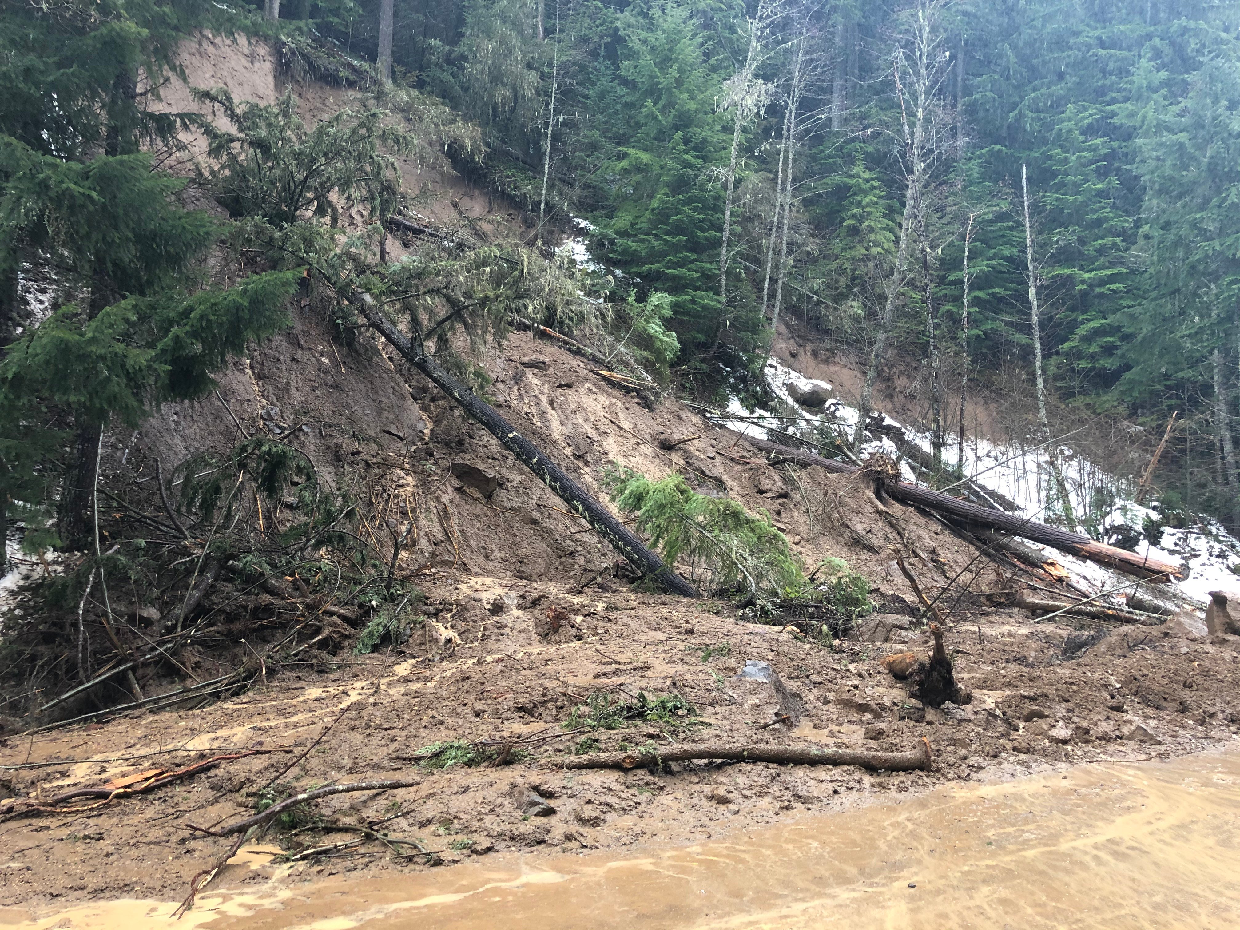 A small landslide has toppled trees and is blocking a roadway in Enumclaw. It appears to be raining with some snow still on the hillside.